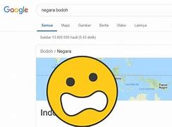 Google Kenapa Kamu Bodoh Sekali